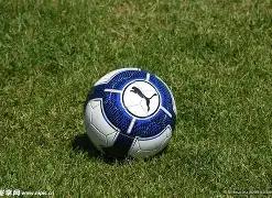 线下总决赛,八强分组揭,明日激战正,开云体育,开云体育官网,开云体育app,开云体育平台,KAIYUN,SPORTS,kaiyun登录入口