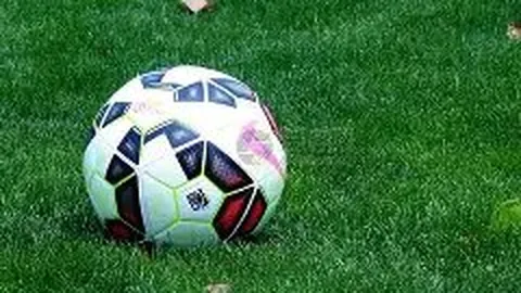 开云体育入口 资讯 115351 6kb