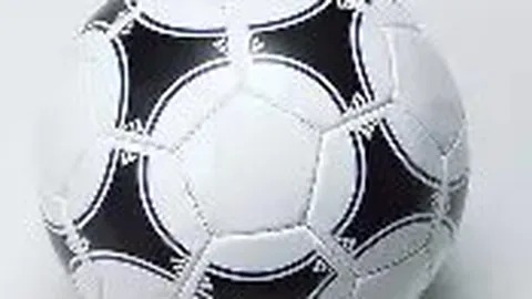 开云体育入口 产品 120009 jzq