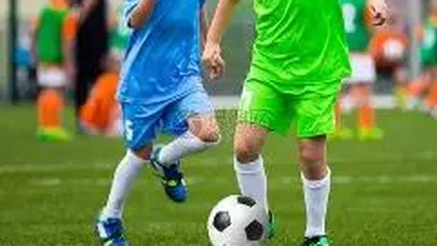 开云体育入口 产品 115541 x36