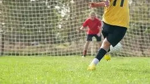 开云体育入口 资讯 115654 akk