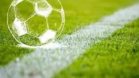 开云体育入口 资讯 094602 hsh