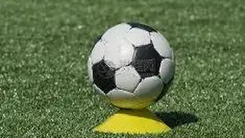 开云体育入口 资讯 101849 gv8