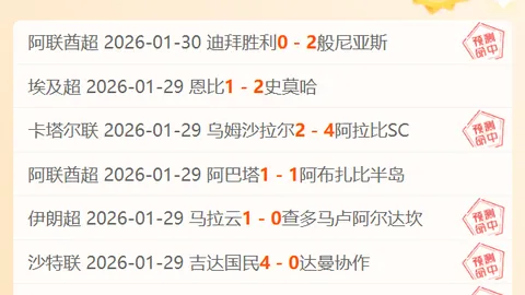 高志丹与泳联主席进行会见