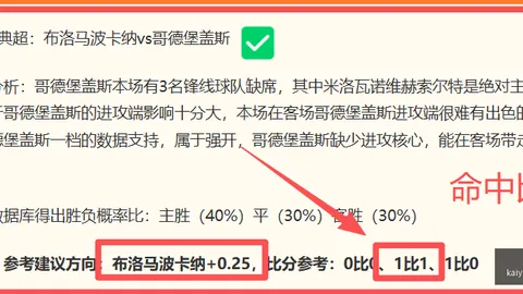 开云体育入口 114712